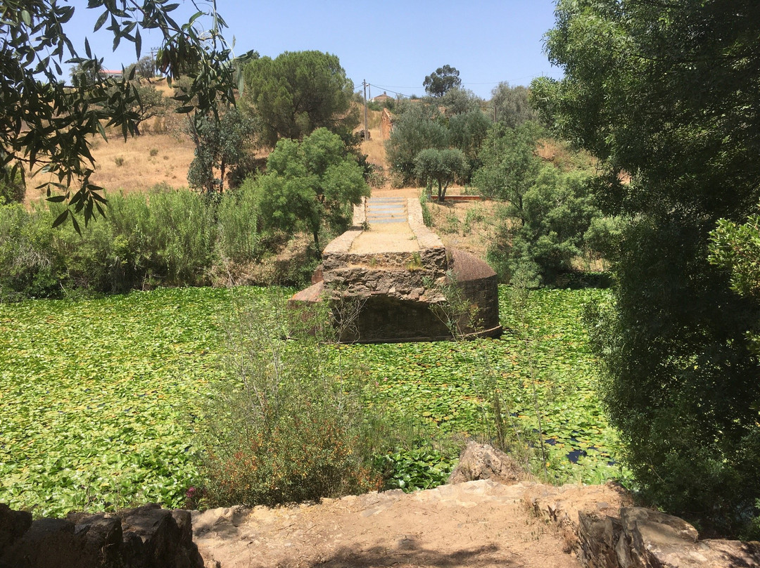Ponte D. Maria景点图片