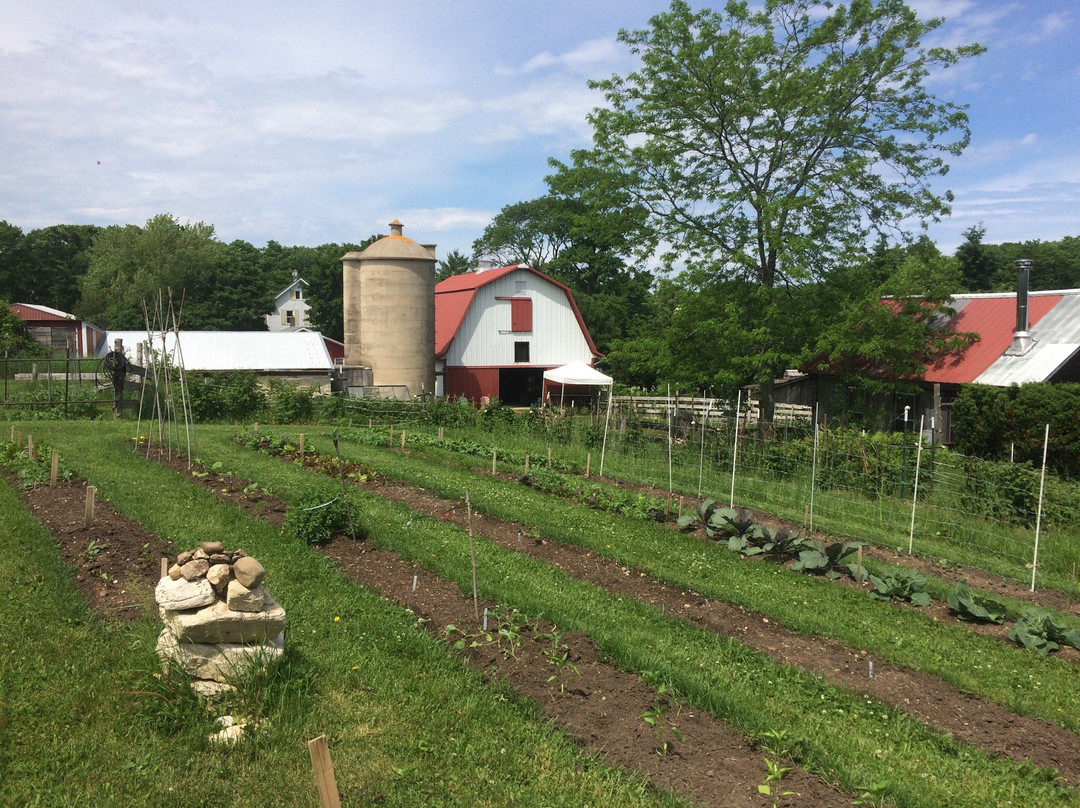 Waseda Farms-Baileys Harbor必去景点