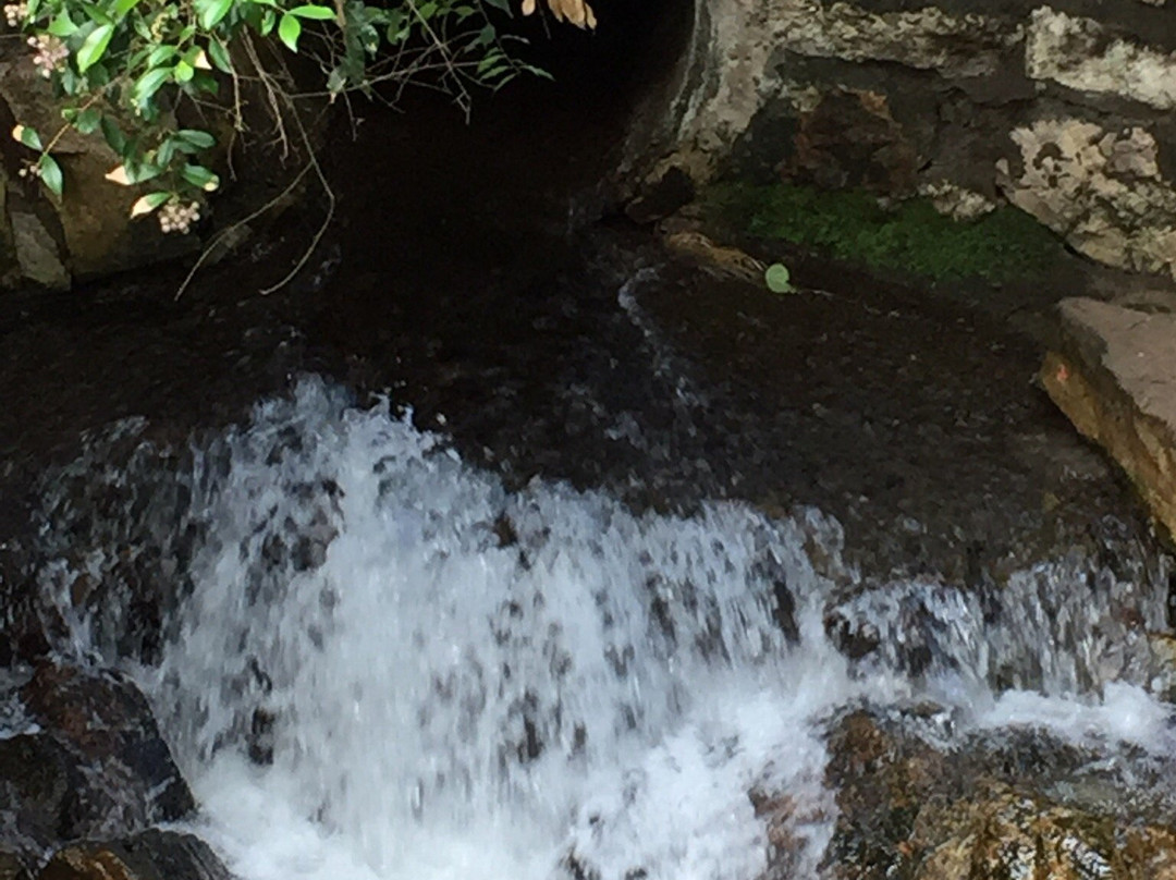 Myora Springs Conservation Area-North Stradbroke Island必去景点