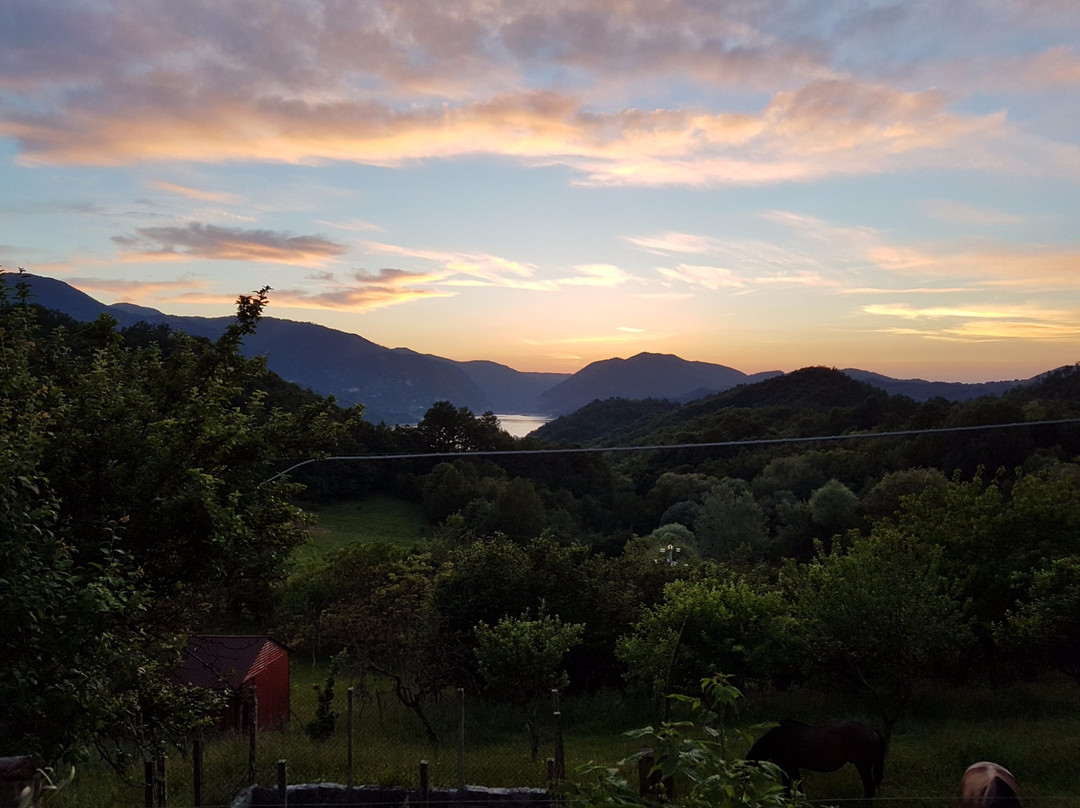 Paganico酒店住宿-Agriturismo I Due Regni