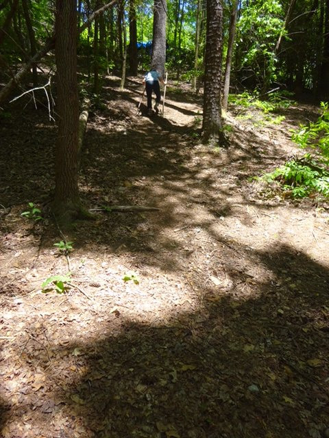 Martins Creek Falls-Clayton必去景点