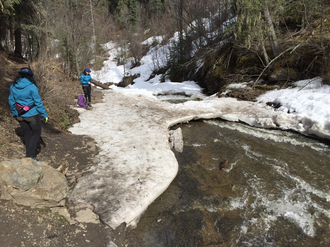 Quality Falls Hiking Trail-Tumbler Ridge必去景点