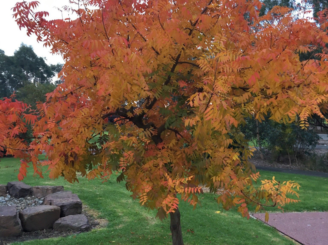 Talbot Park景点图片