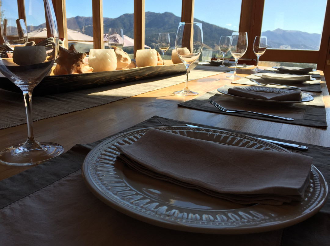 Viña Hacienda Araucano- François Lurton-Lolol必去景点