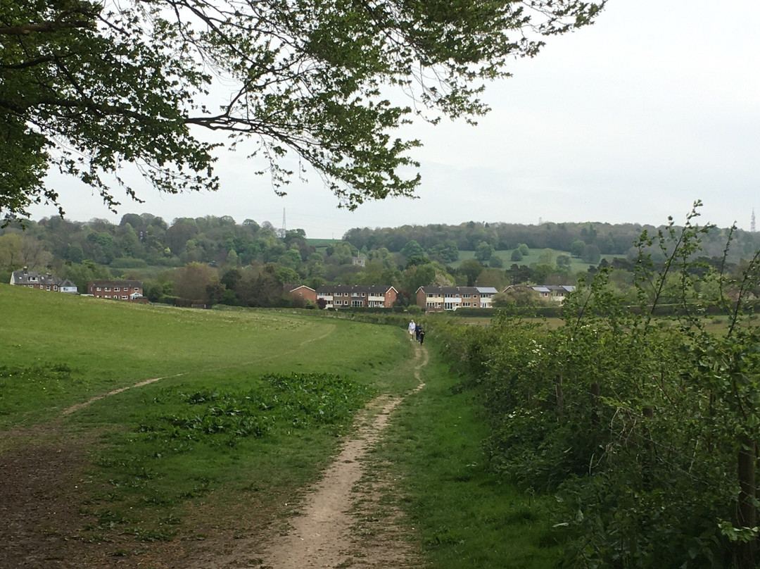 Chiltern Walks景点图片