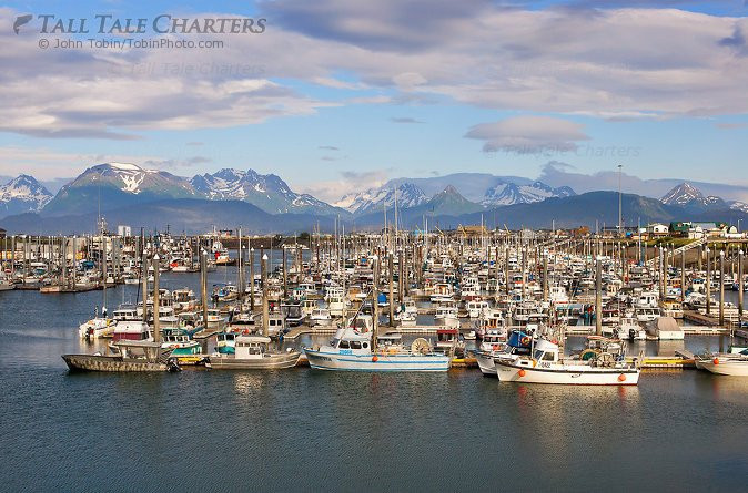 Tall Tale Charters-索尔多特纳必去景点