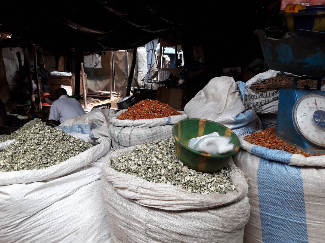 Bamako: vegetable market at the south bank-巴马科必去景点