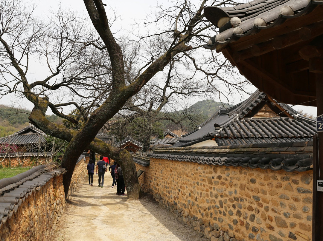 Namsa Yedamchon Village-山清郡必去景点