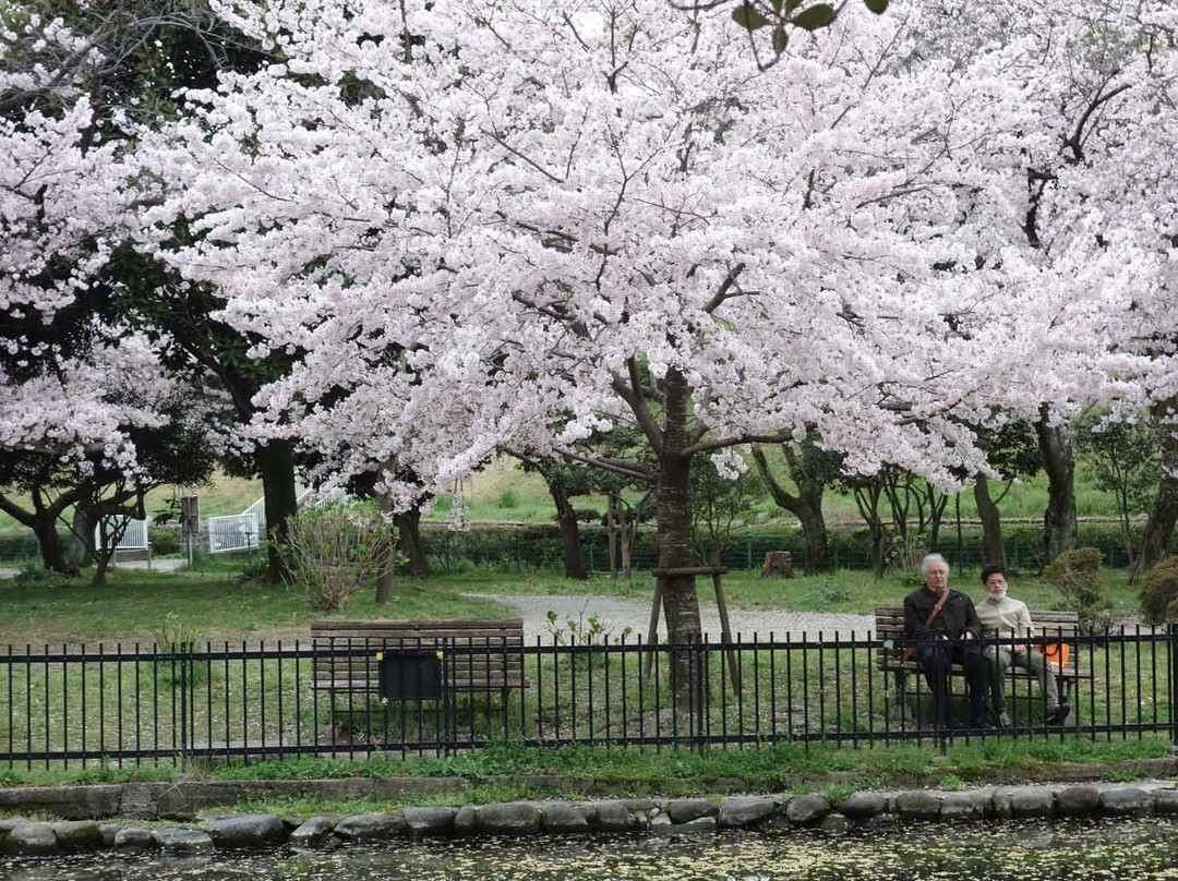 Nishimuko Park-尼崎市必去景点