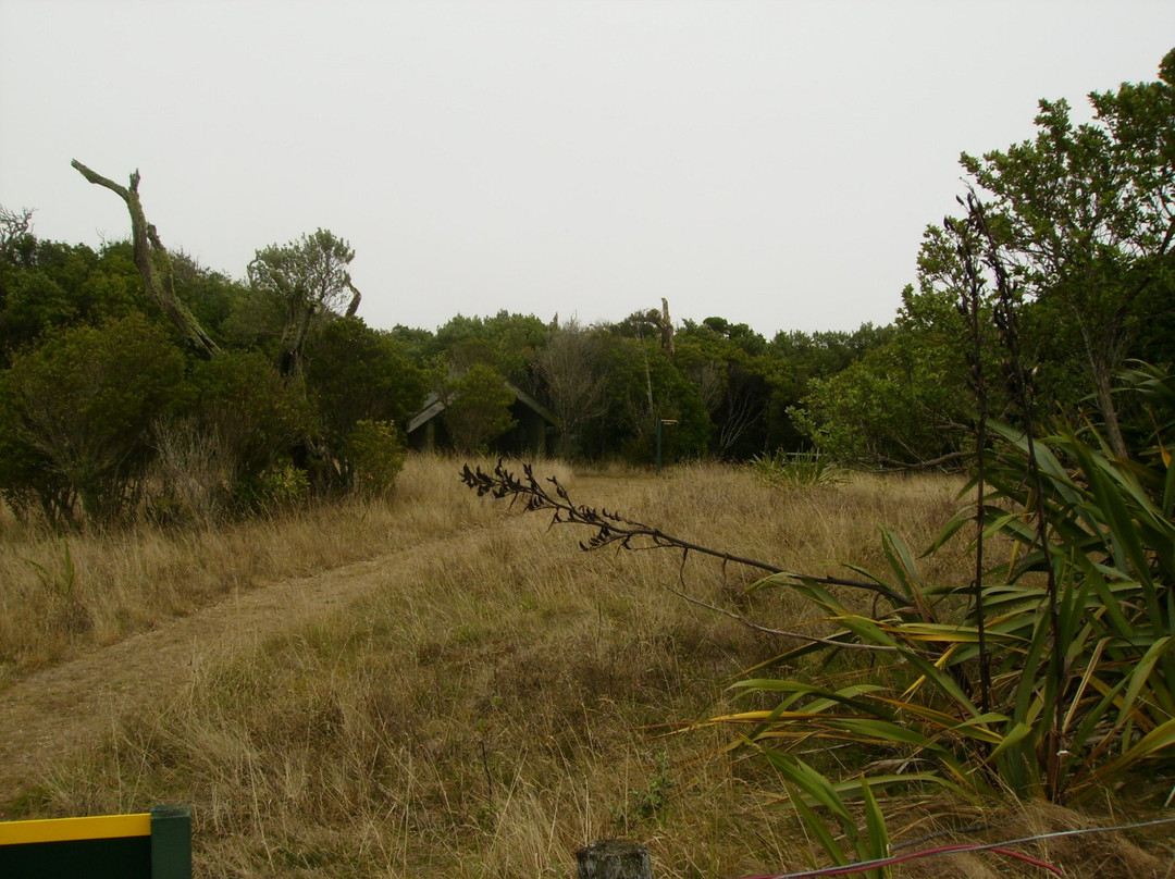 JM Barker (Hapupu) National Historic Reserve景点图片