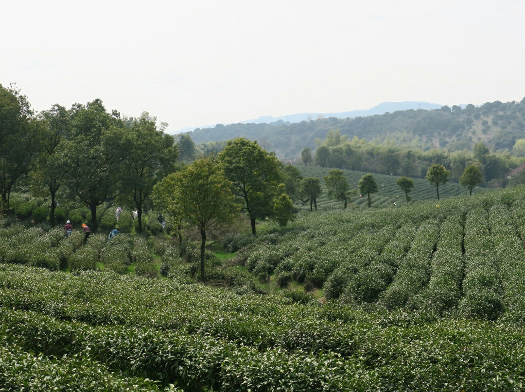 开元芳草地乡村酒店主图