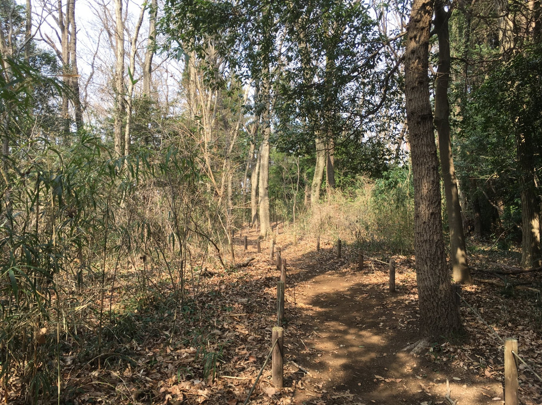 Machida City Nodatsu Park-町田市必去景点