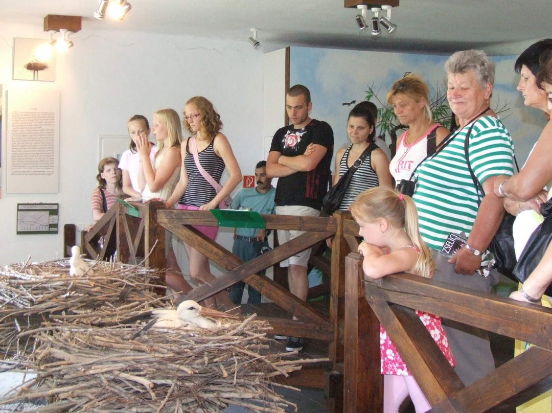 White Stork Museum-Kolked必去景点