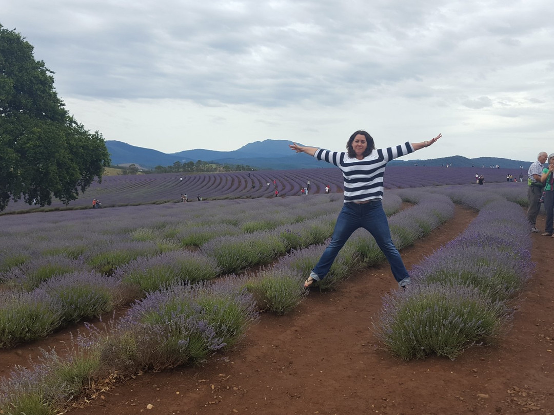 Joy's Tassie Tours-朗塞斯顿必去景点