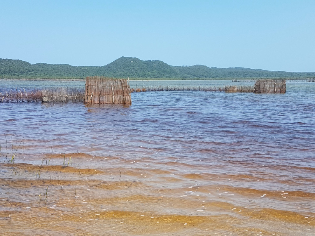 理查兹湾旅游攻略图片