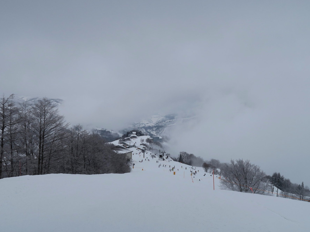 Yuzawa Highland Ski Resort景点图片