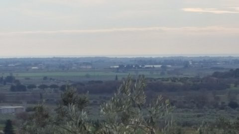 Agriturismo Il Falcone主图
