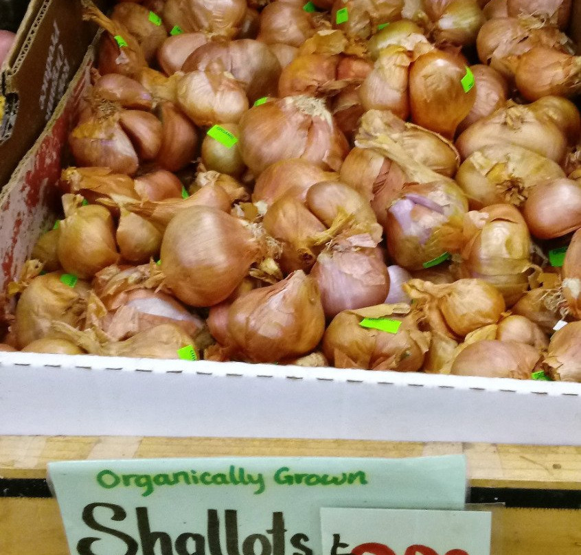 Monterey Market-伯克利必去景点