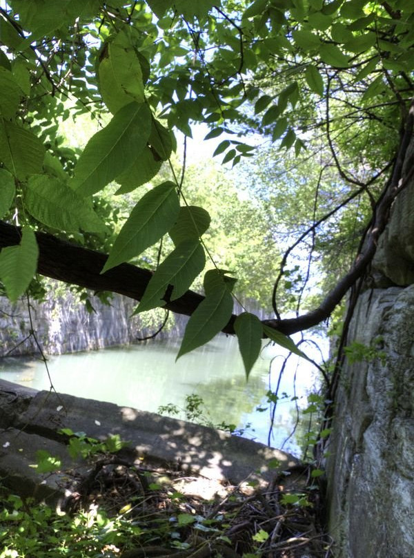 Jaycee Gardens Park-圣凯瑟琳斯必去景点