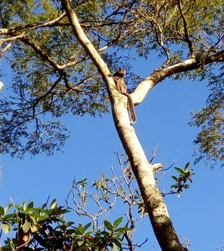 Parque Natural do Pedroso景点图片