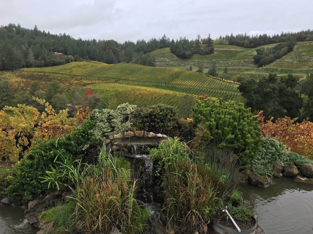 Diamond Creek Vineyards-卡利斯托加必去景点