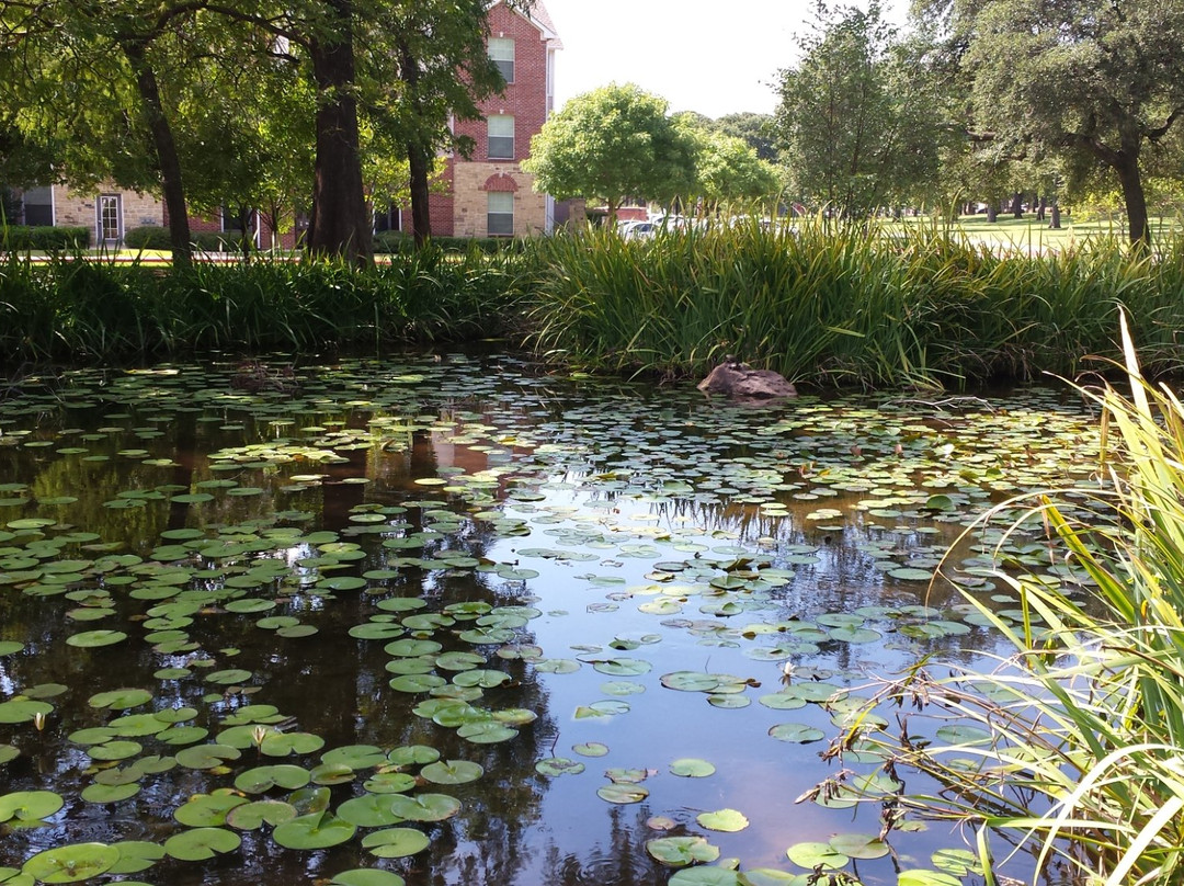 登顿旅游攻略图片