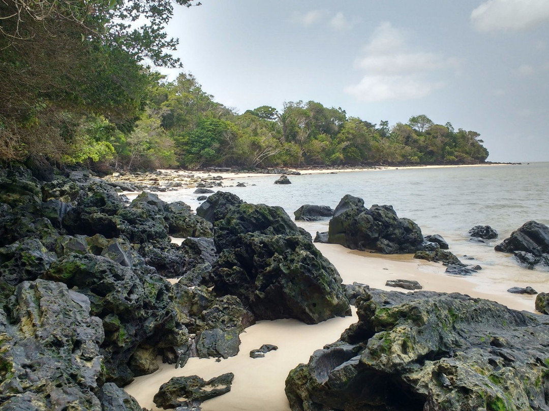Ilha de Cotijuba景点图片