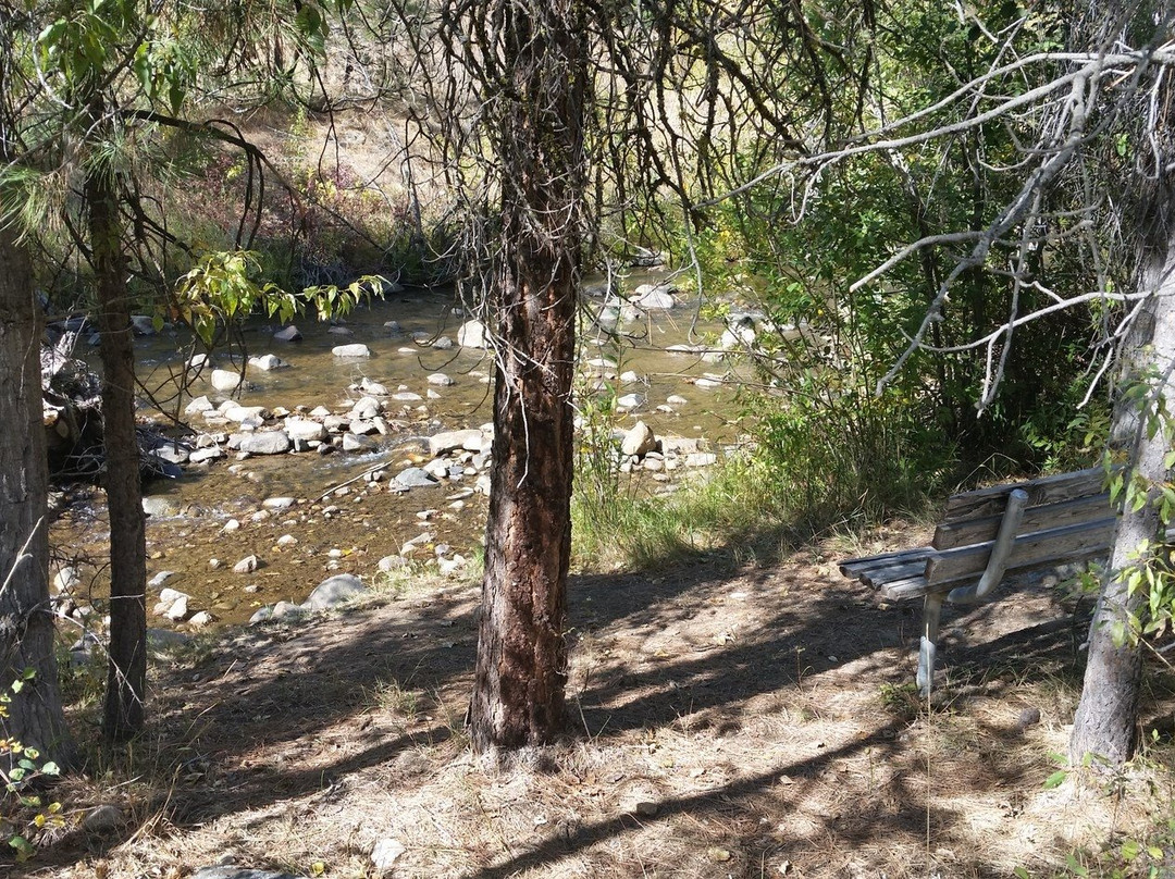 Creekside Campground Idaho City景点图片