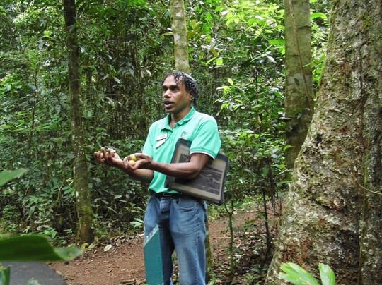 Rainforest Dreaming Cultural Guided Walks-马兰达必去景点