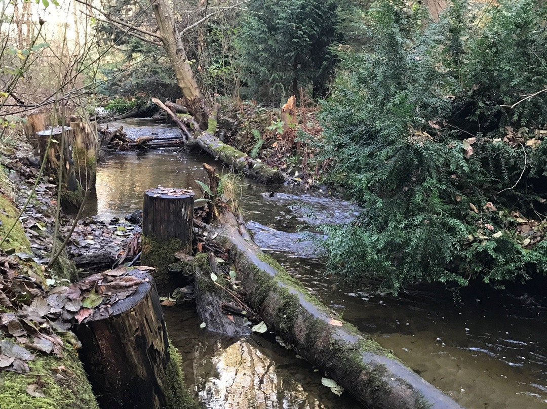 Des Moines Creek Trail-得梅因必去景点