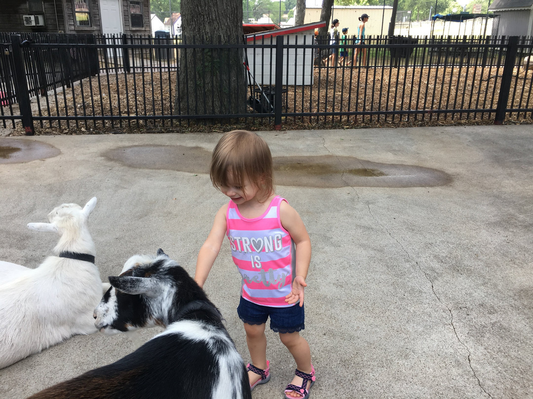 Fritz Park Petting Farm-欧文必去景点