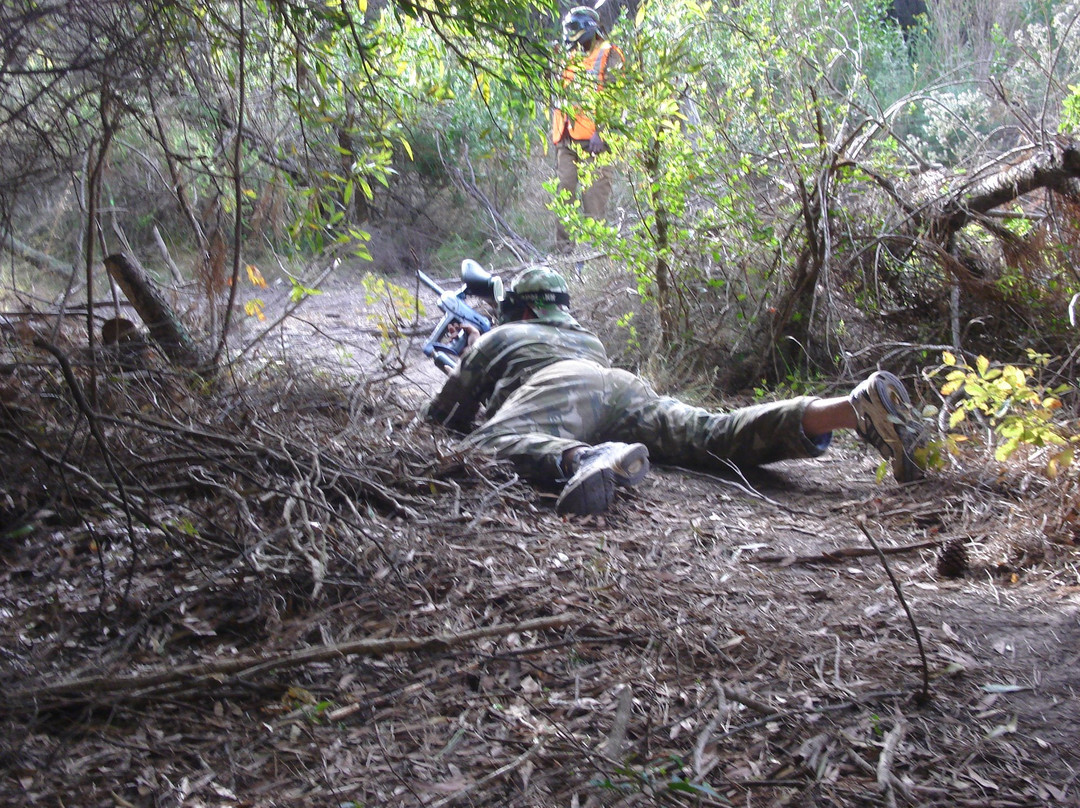 Tactical Adrenalin Paintball Wars-普利登堡湾必去景点