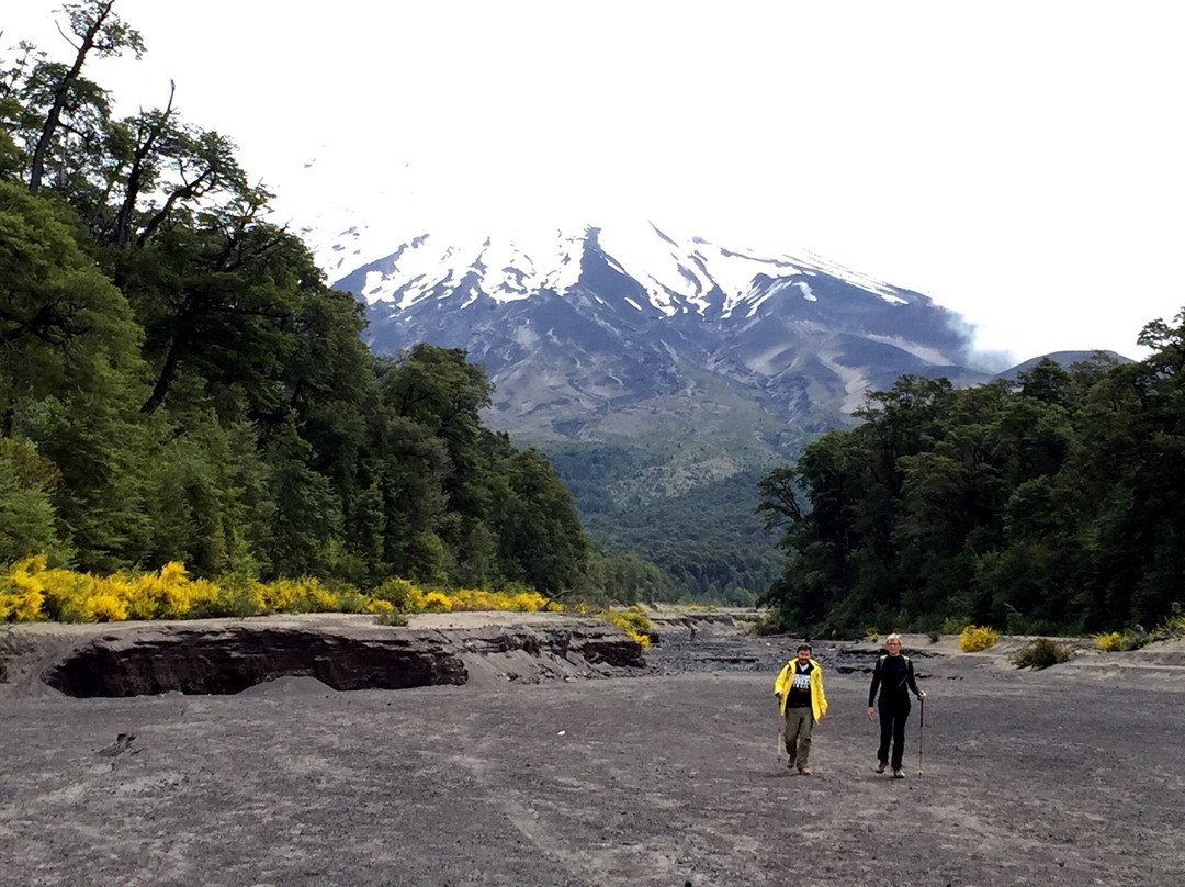 Expediciones Petrohue-巴拉斯港必去景点