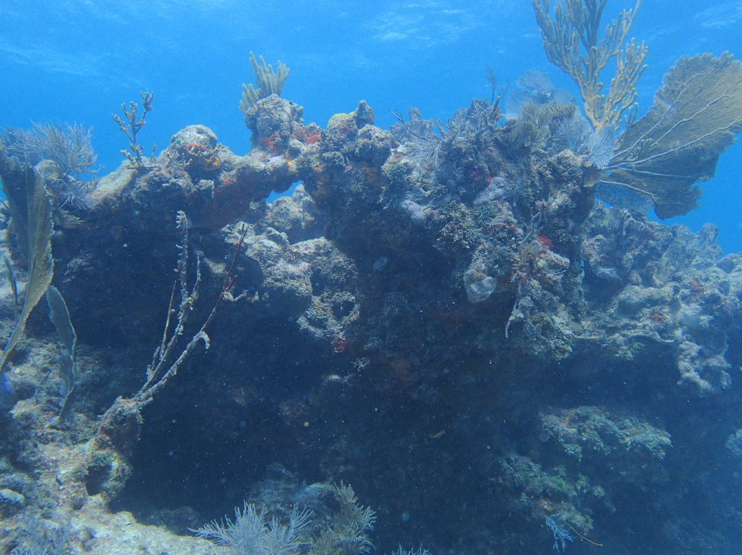Carysfort Reef Lighthouse reef-拉哥岛必去景点