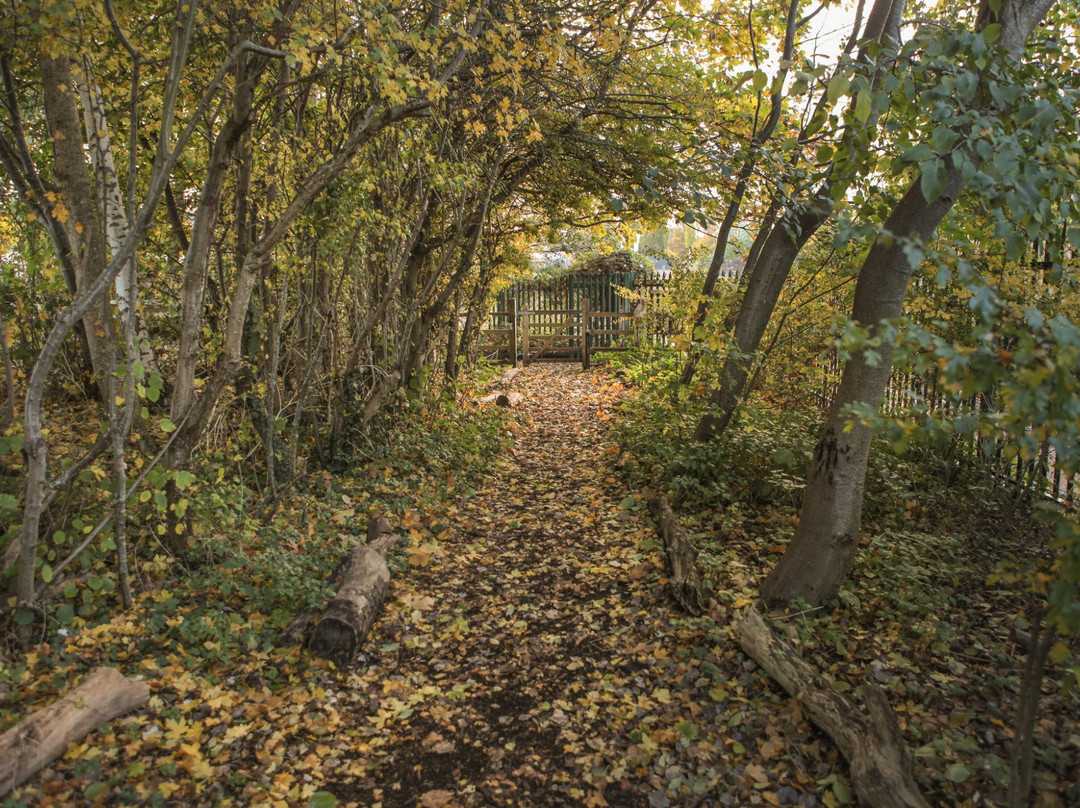 Windmill Hill City Farm景点图片