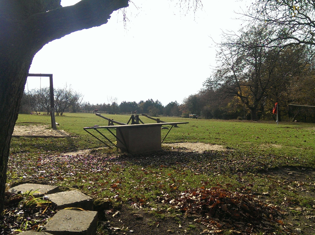 Torokmezo Kalandpark
