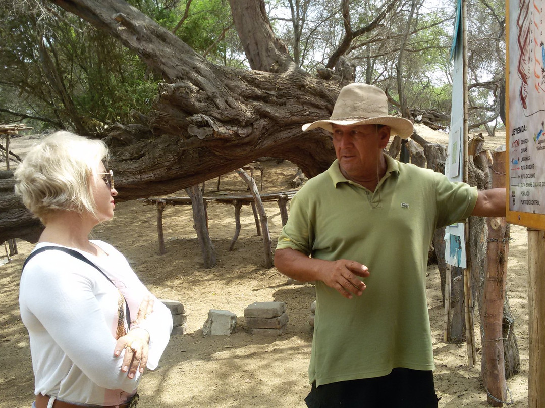 Bosque El Canoncillo-Pacasmayo必去景点