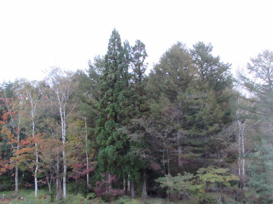 Breezbay Resort Kurohime主图