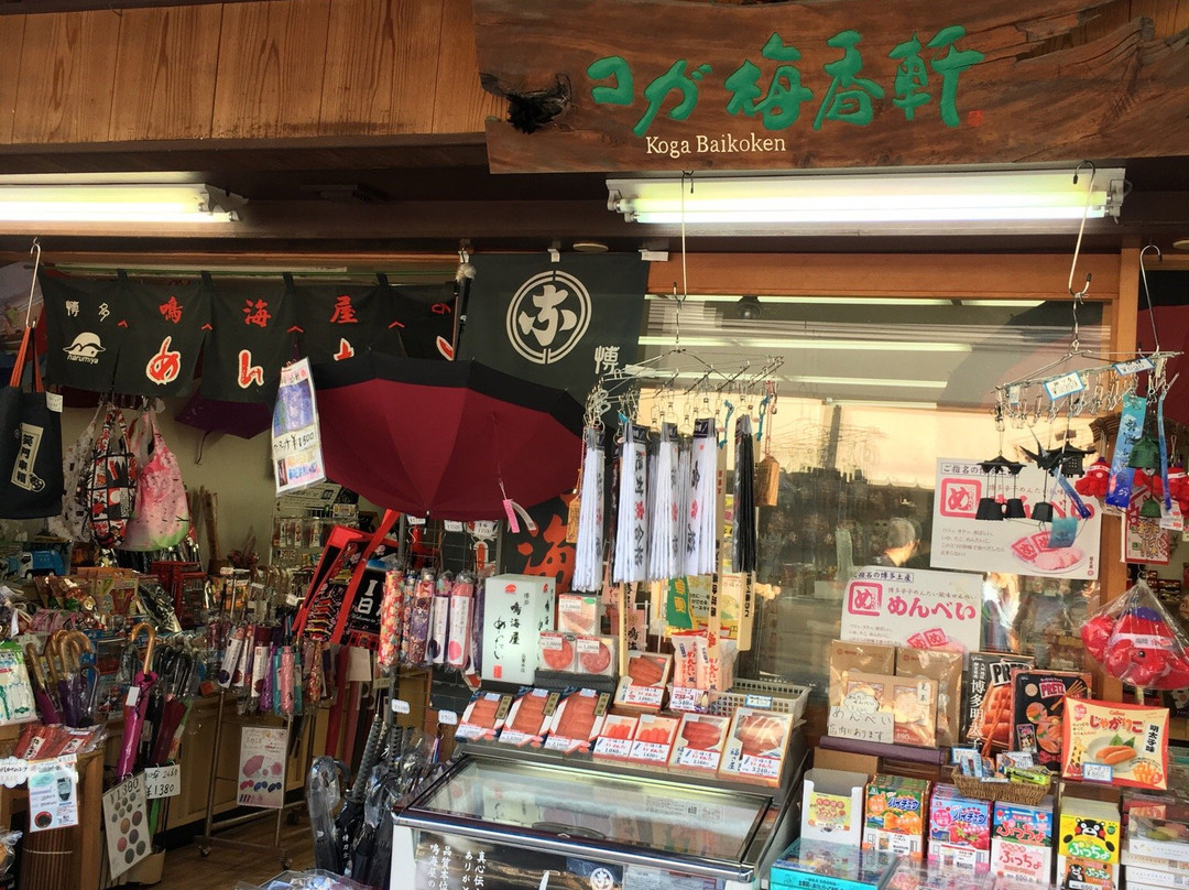 Koga Baiko-ken-太宰府市必去景点