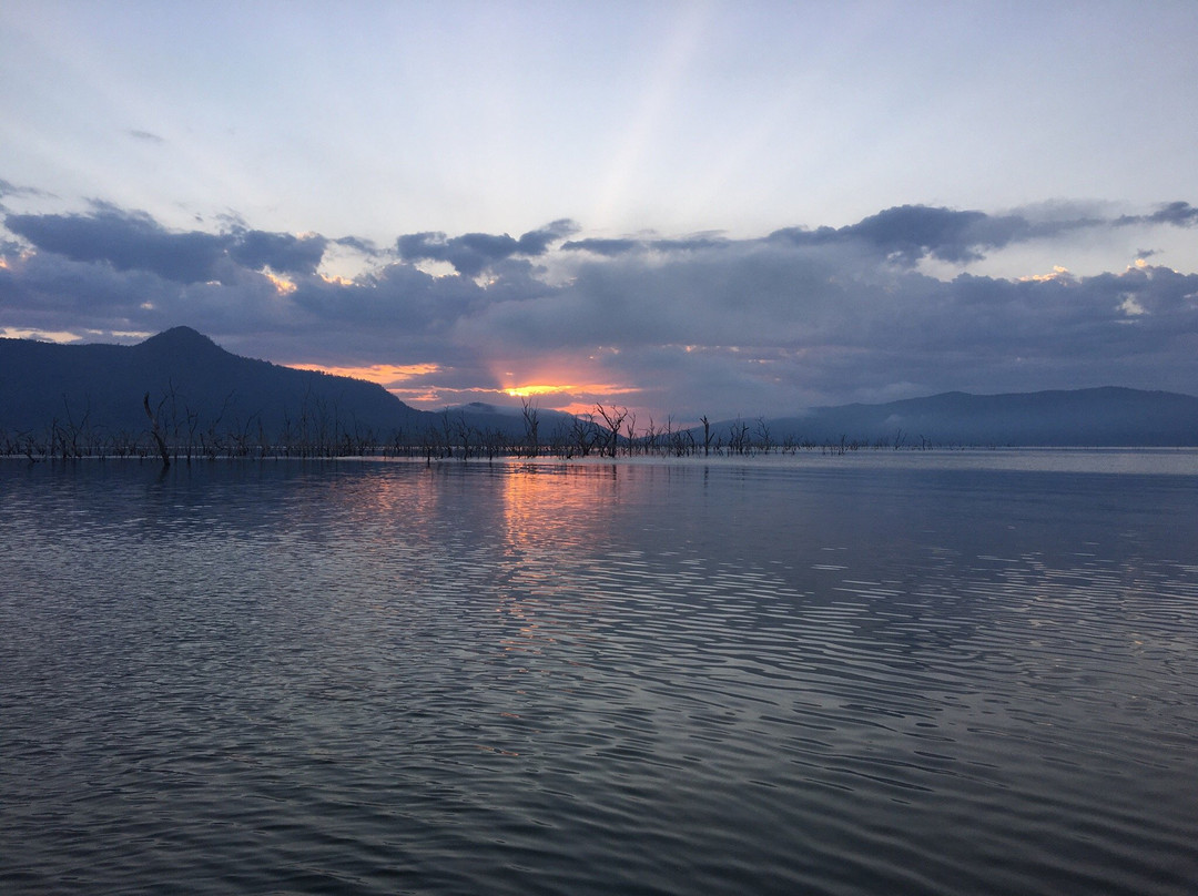 Barramundi Fishing Charters-Proserpine必去景点