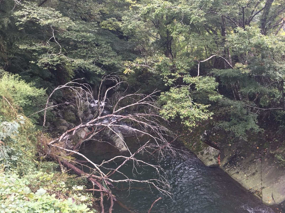 Mikado Gorge景点图片