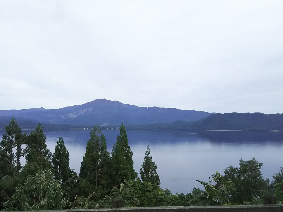 Katamaeyama Forest Park景点图片