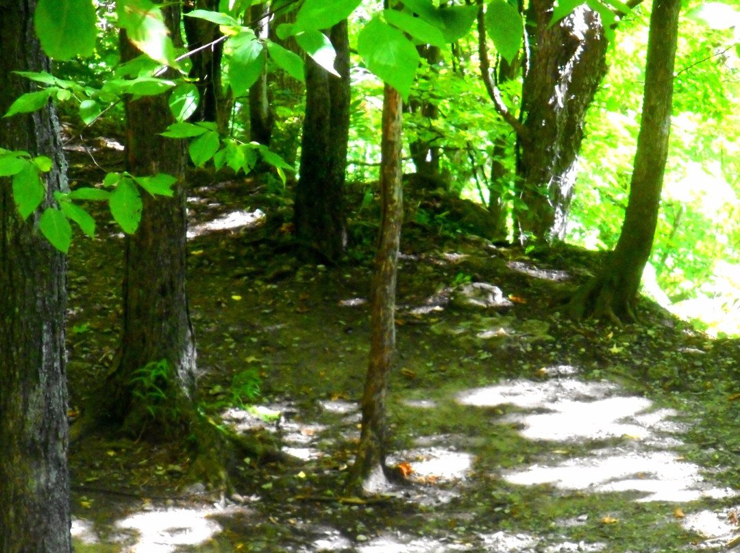 Clark Reservation State Park-Jamesville必去景点