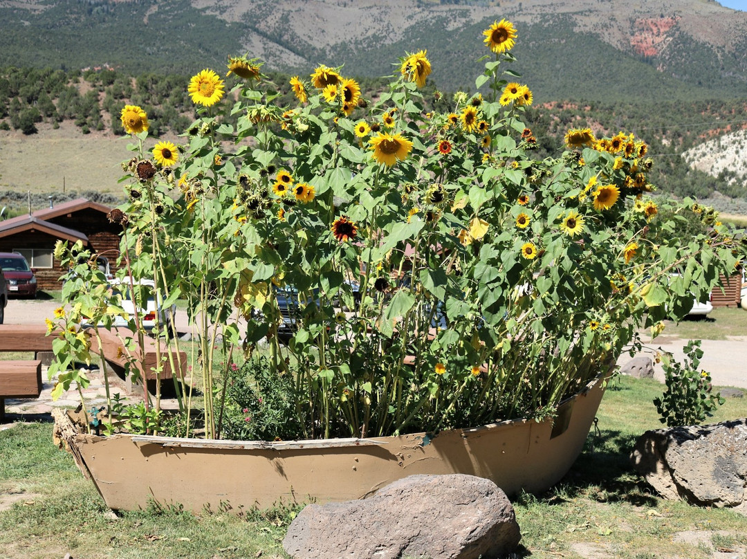Colorado River Center-Bond必去景点