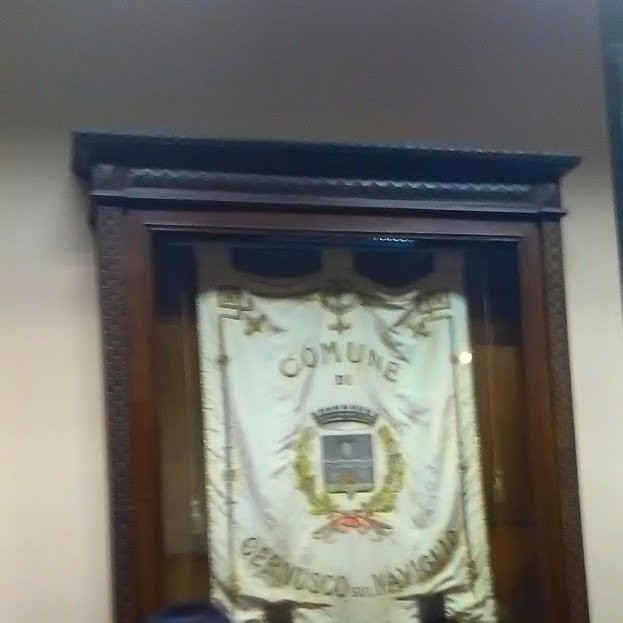 Villa Biancani Greppi景点图片