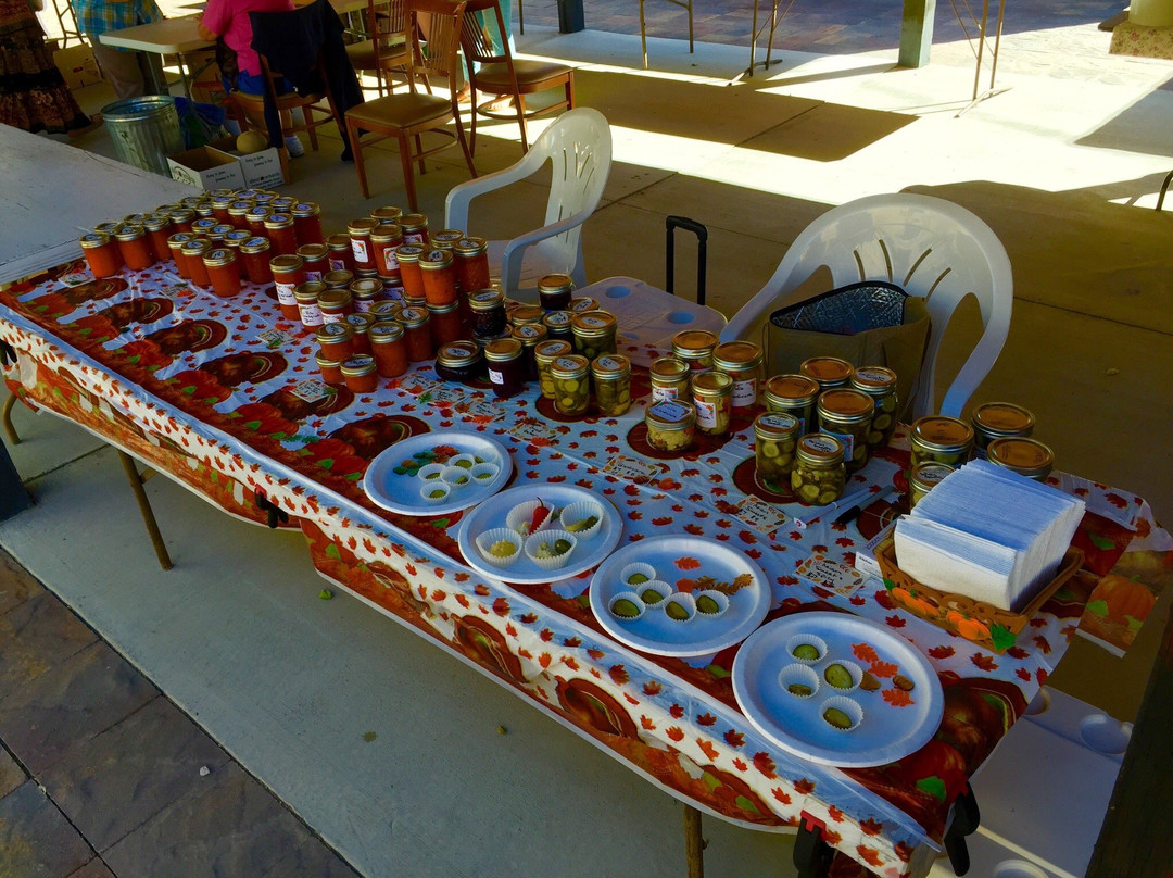 Ely Renaissance Village-Ely必去景点