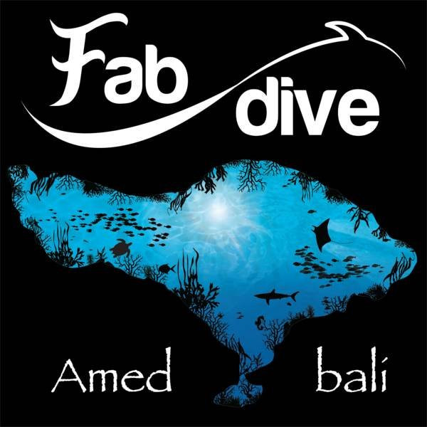 Bali Fab Dive center景点图片