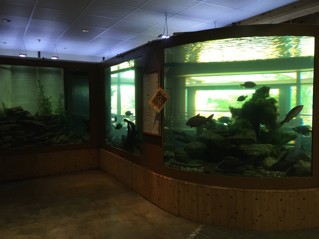 Remington Nature Center-圣约瑟夫必去景点