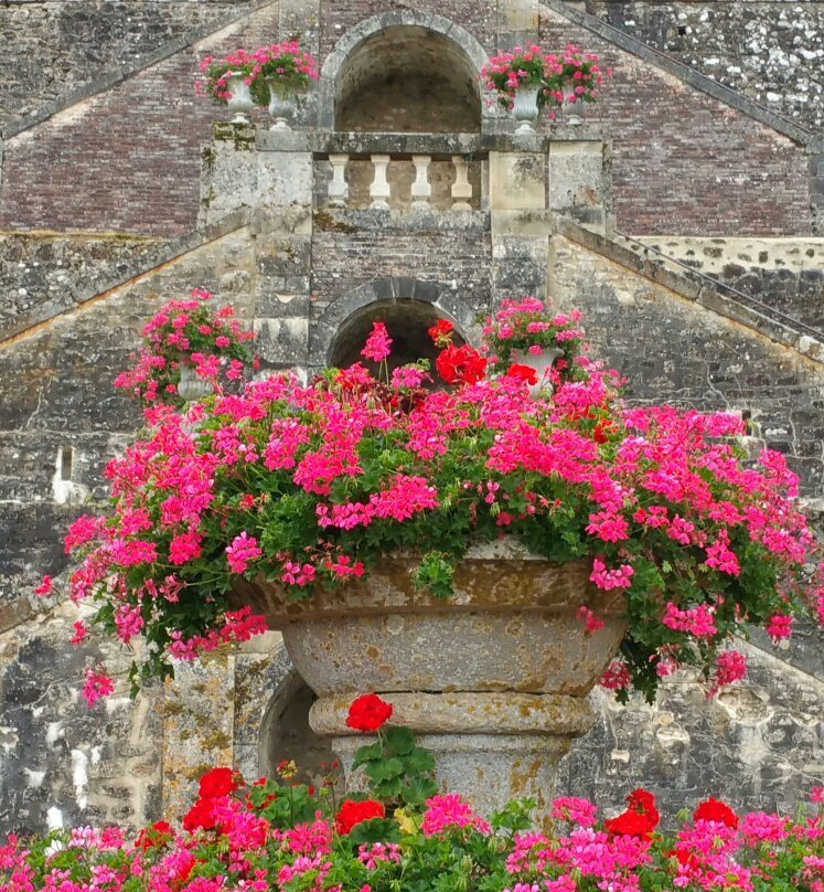 Château de Sassy景点图片