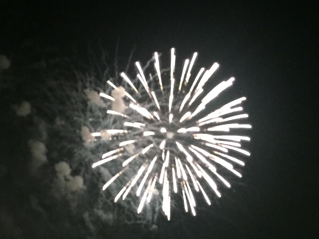 Nishio Yonezu River Festival-西尾市必去景点
